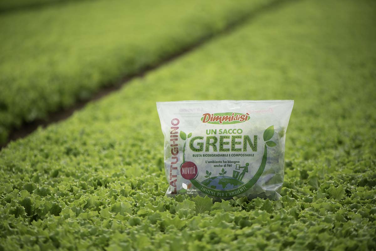 Un Sacco Green Carton Pack
