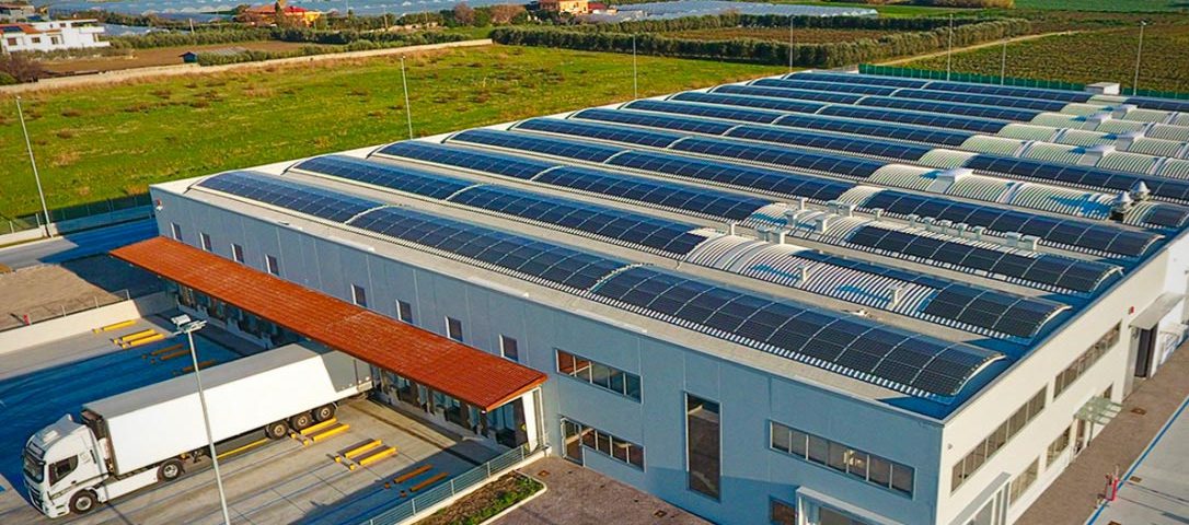 Alphacom-Italia-insalate-baby-leaf-Salerno-Eboli