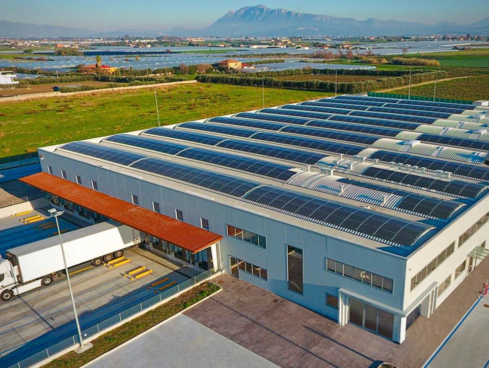 Alphacom-Italia-insalate-baby-leaf-Salerno-Eboli