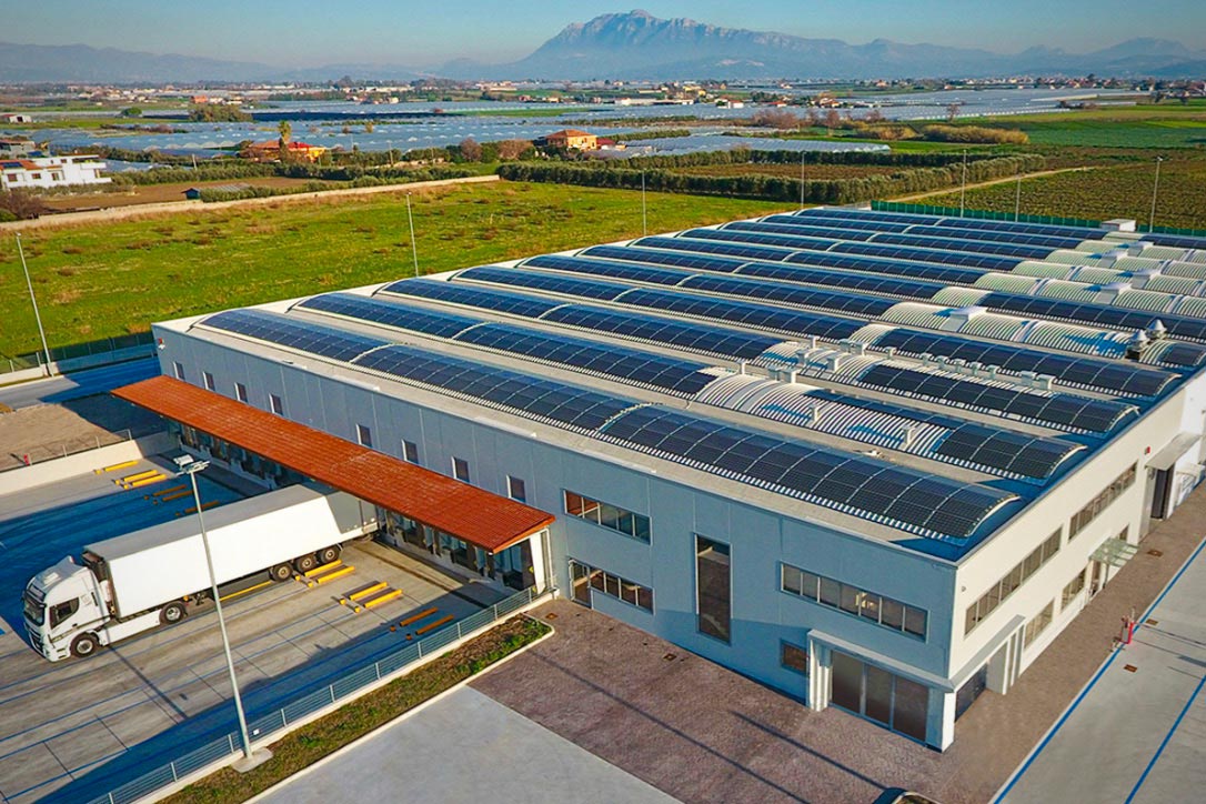 Alphacom-Italia-insalate-baby-leaf-Salerno-Eboli