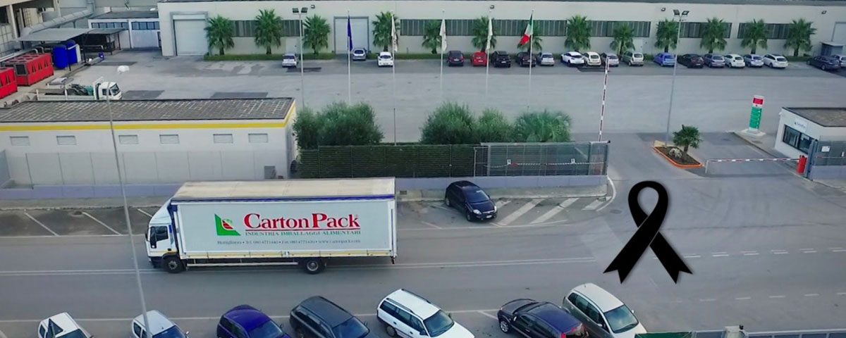 Carton-Pack-Nicola-Leone