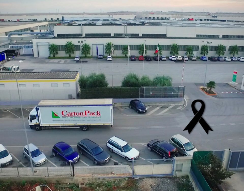 Carton-Pack-Nicola-Leone