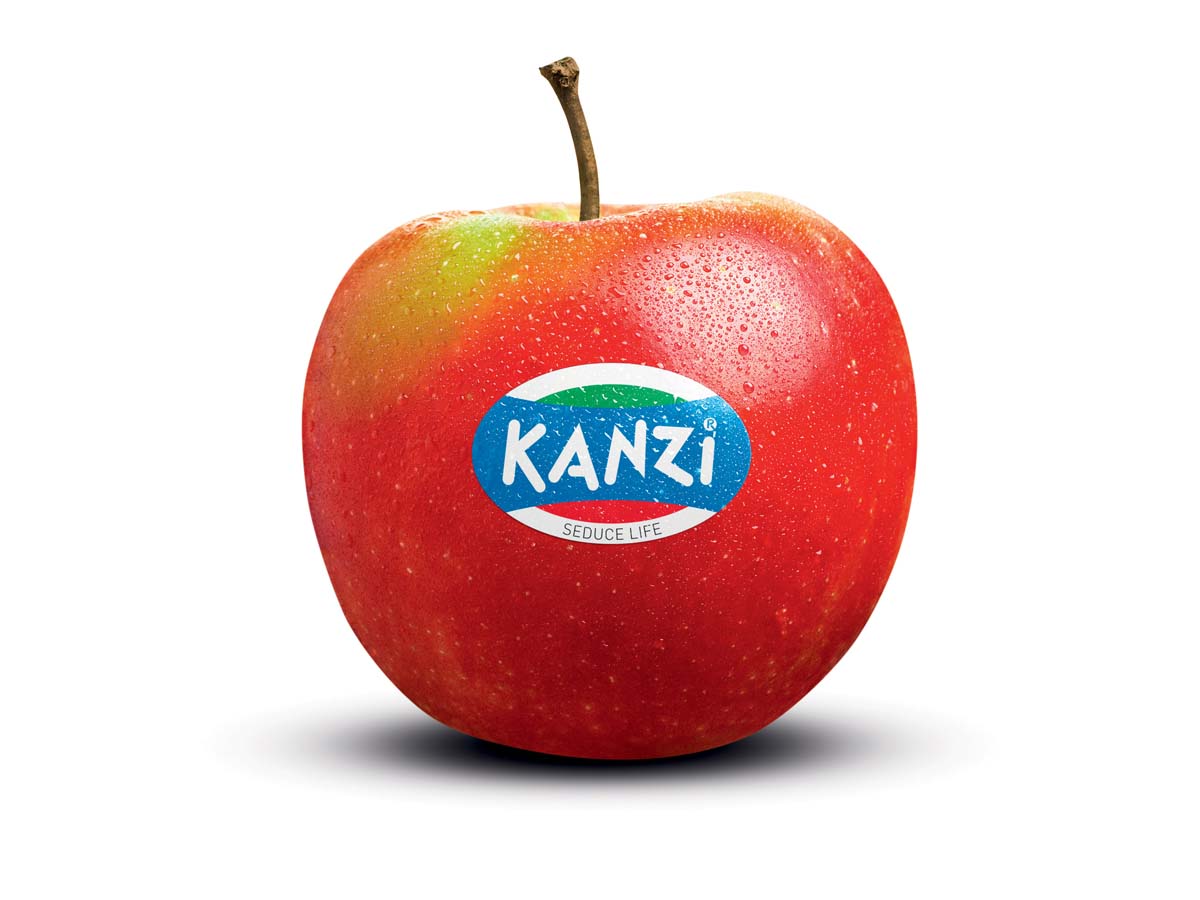Kanzi mela