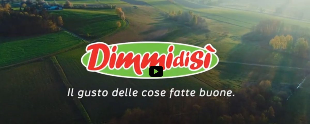 DimmidiSì