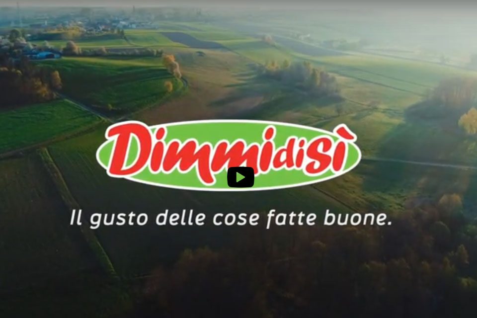 DimmidiSì