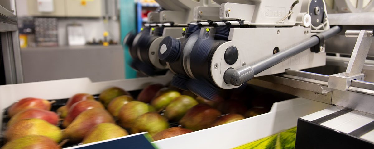 sinclair - CPL VRS-with-Pears