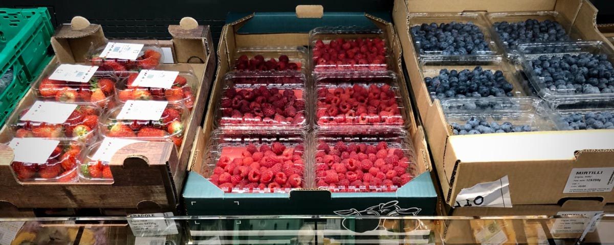 Aldi-Italia-Social-Plastic-ortofrutta-copy-Fm