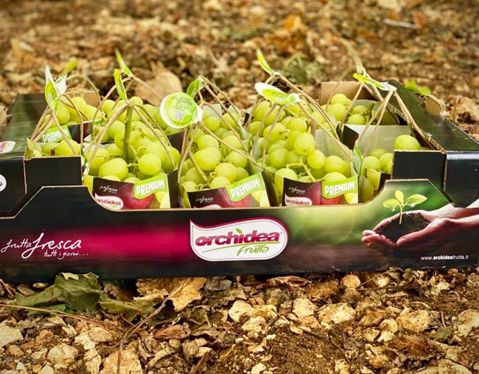 Autumncrisp-Orchidea-Frutta-packaging