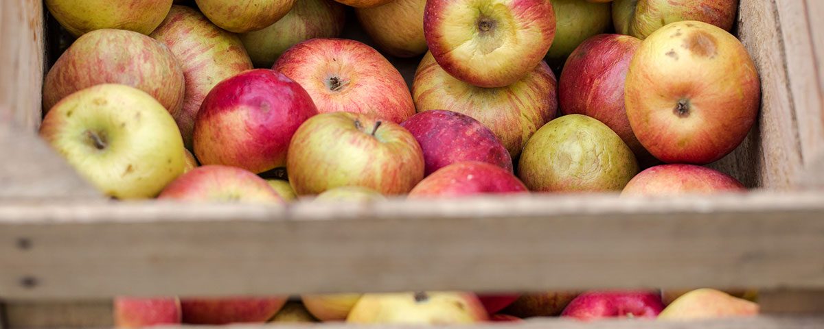 CosiPerNatura-frutta-mele-NaturaSi-non-calibrate
