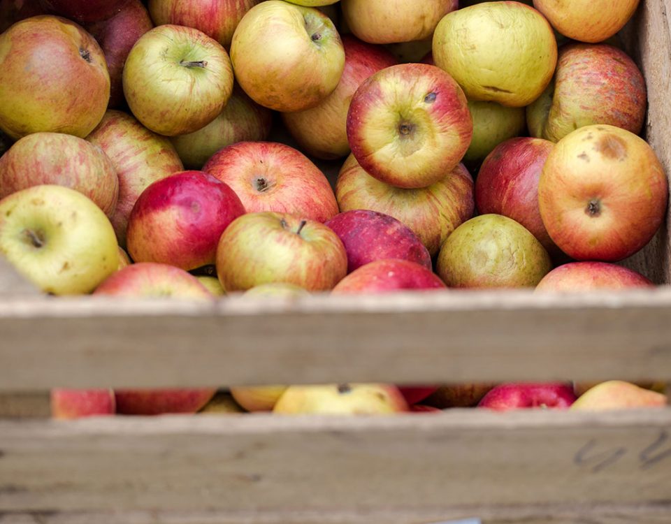 CosiPerNatura-frutta-mele-NaturaSi-non-calibrate
