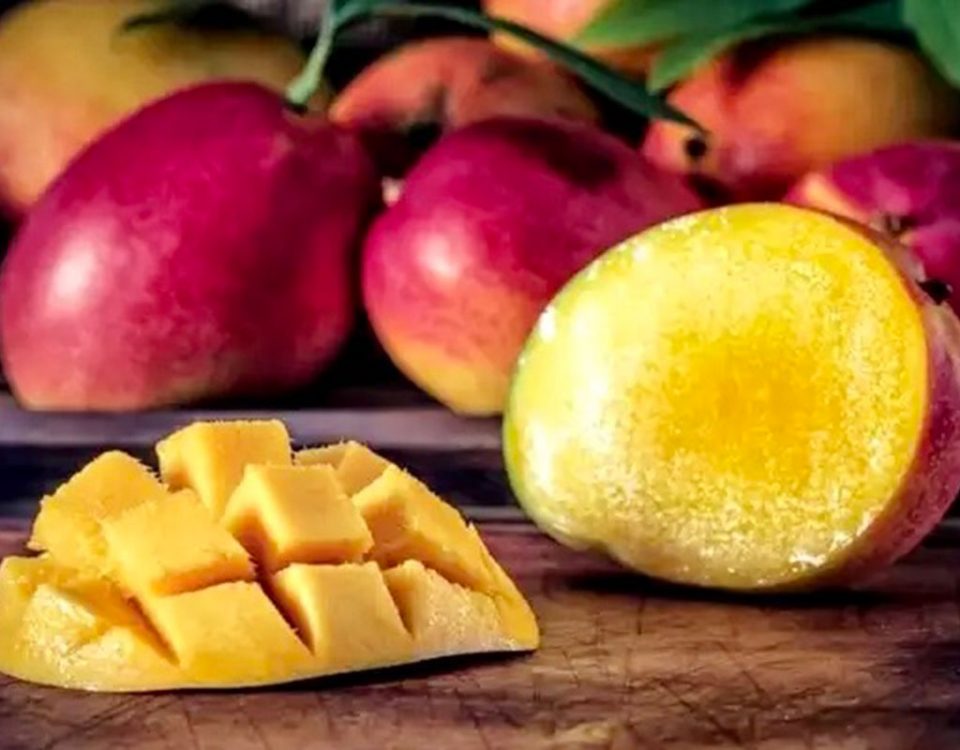 Mango