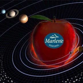 Contest Marlene 25