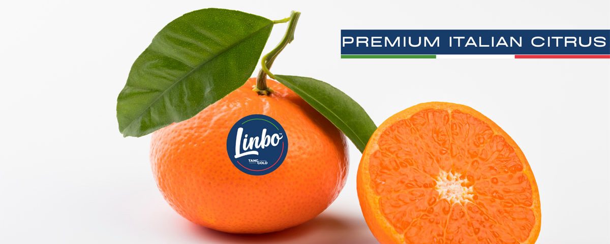 Linbo
