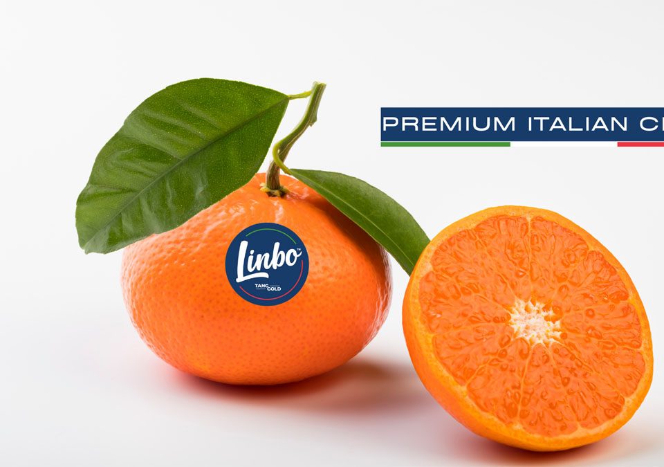 Linbo