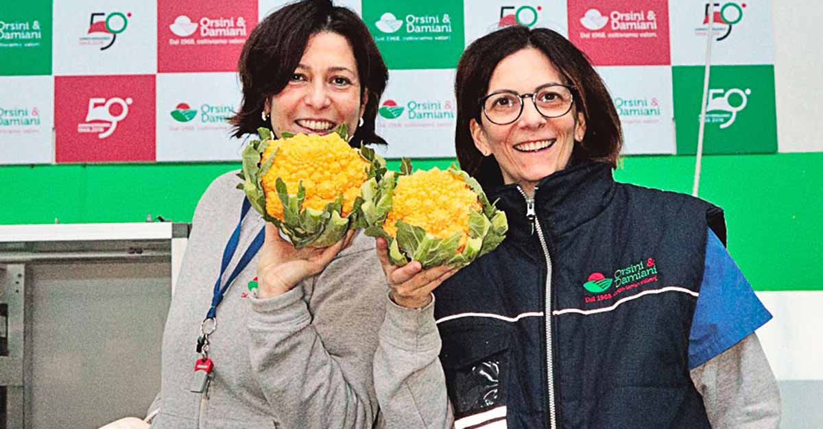 orsini & damiani romanesco arancione