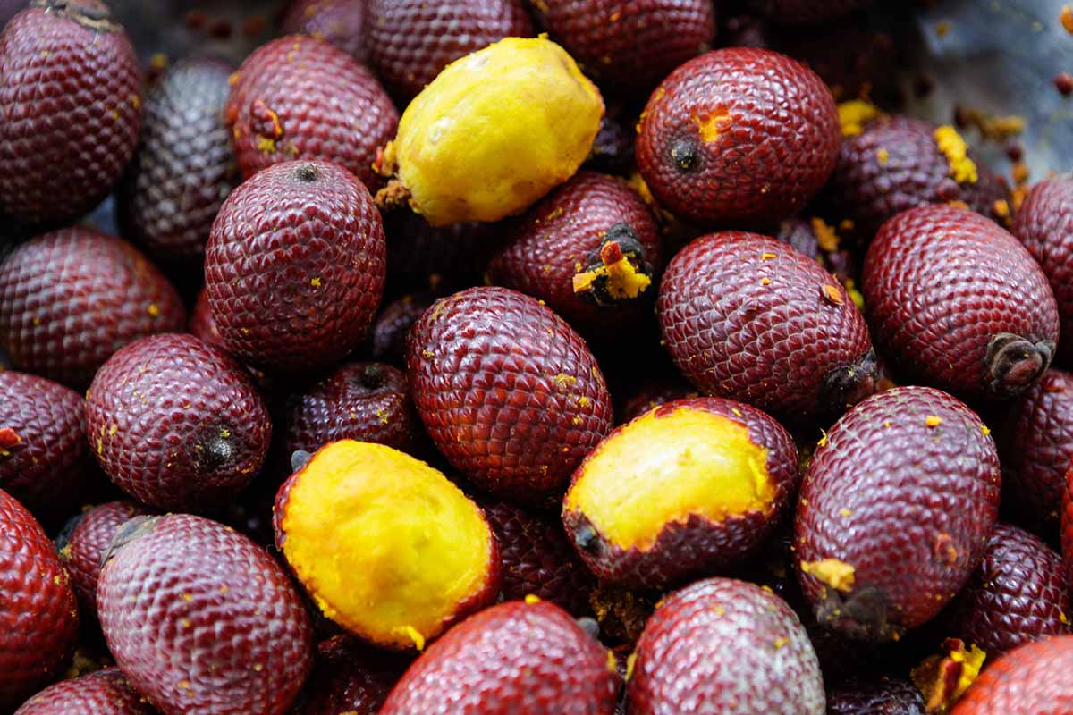 buriti food trend 2021