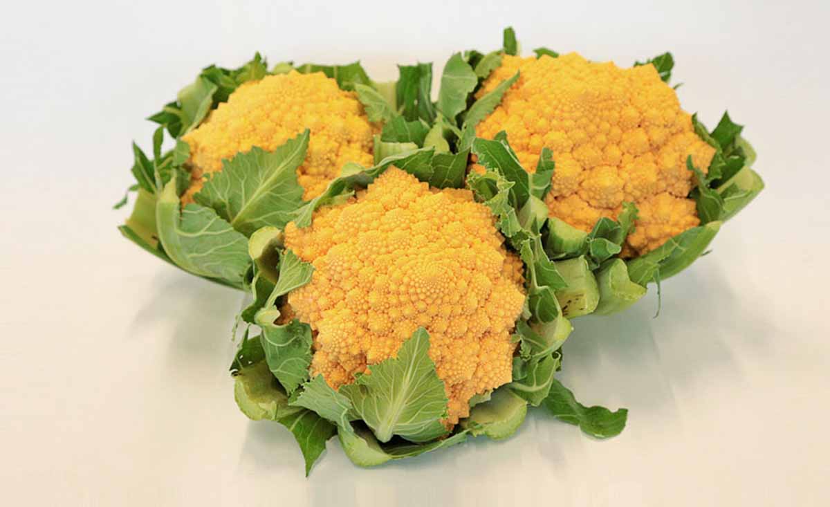 cavolfiore romanesco arancione