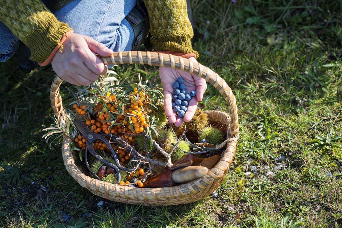 foraging food trend 2021