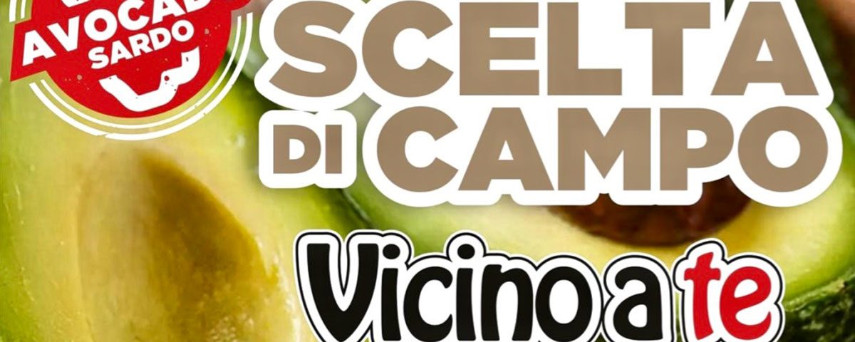 Avocado-Sardegna-Villacidro-Frongia