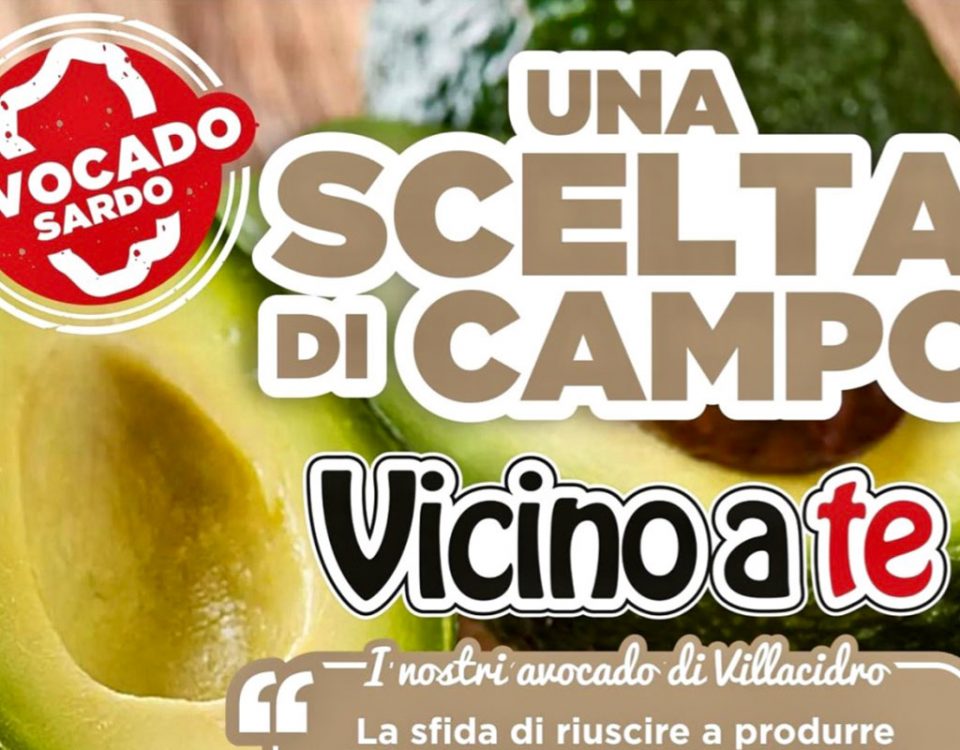 Avocado-Sardegna-Villacidro-Frongia