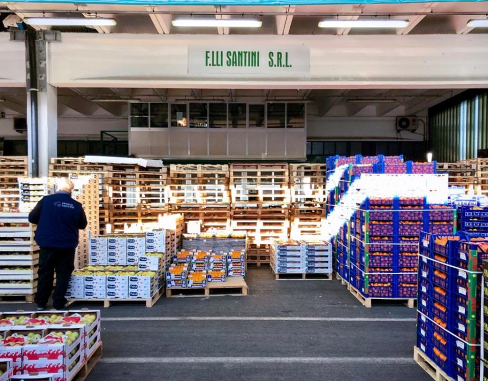F.lli-Santini-revoca-concessione-banane.Mercato-Bergamo-copy-Fm