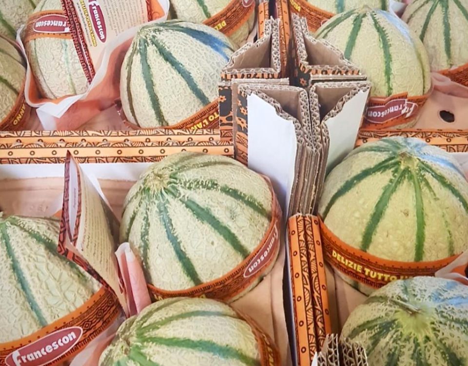 Francescon-melone-Senegal-cassette