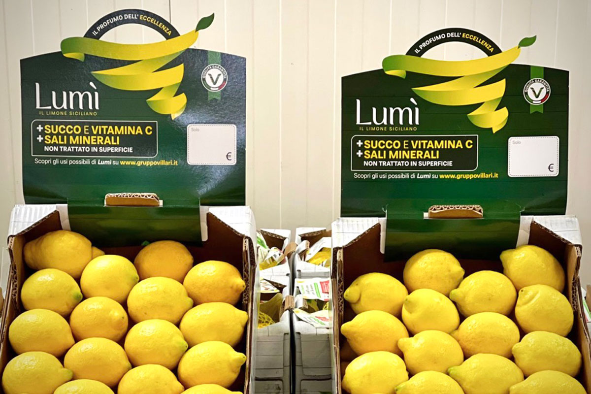 Villari-Lumi-limone-Sicilia-cassette-crowner