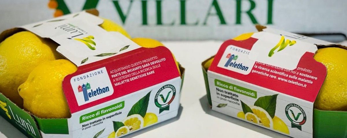 Villari-Lumi-limone-Sicilia-vassoio-cartoncino