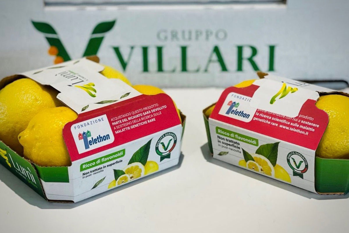 Villari-Lumi-limone-Sicilia-vassoio-cartoncino