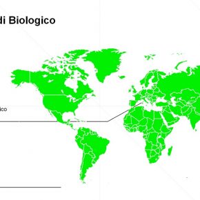 bio