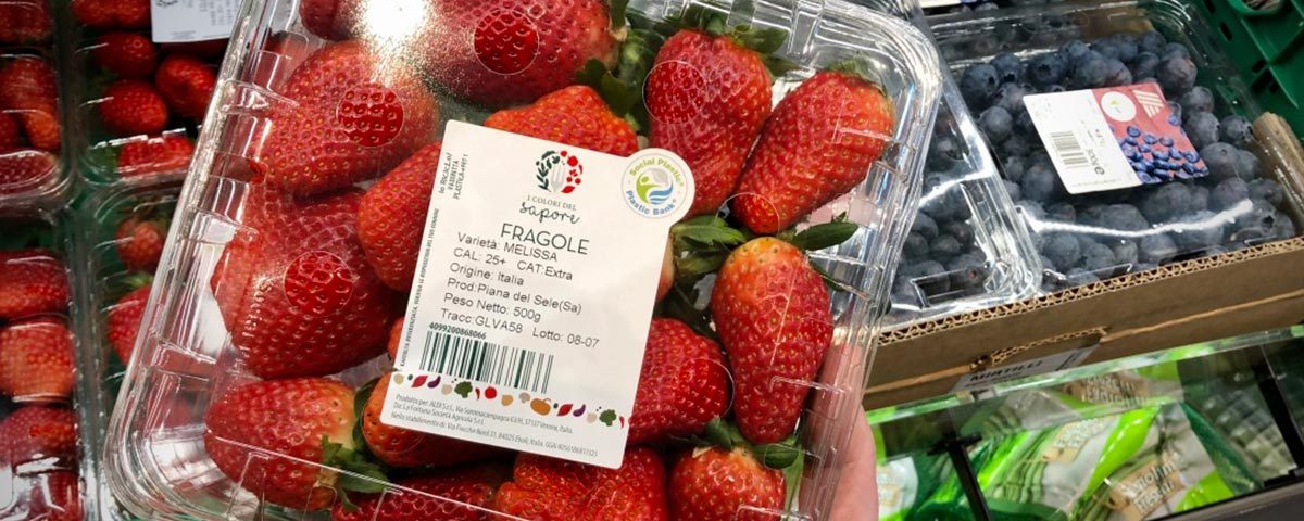 Aldi-fragole-Social-Plastic-2021-Fm