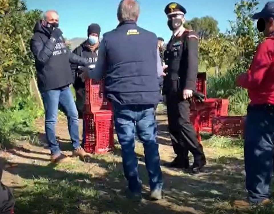 Arance-lavoro-nero-Grammichele-Catania-03-2021