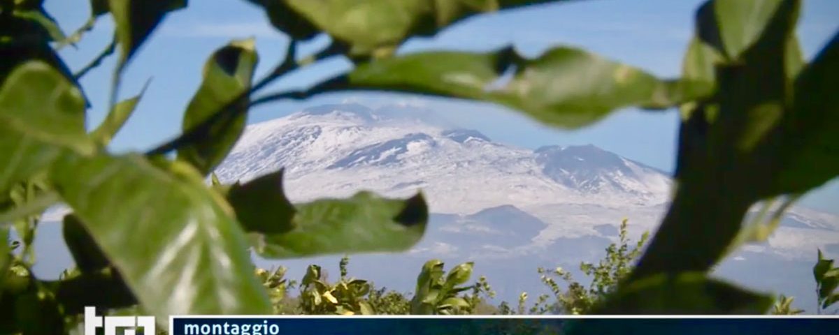 Caporalato-TG1-Sicilia-arance-Selvaggi-03-2021-Fm