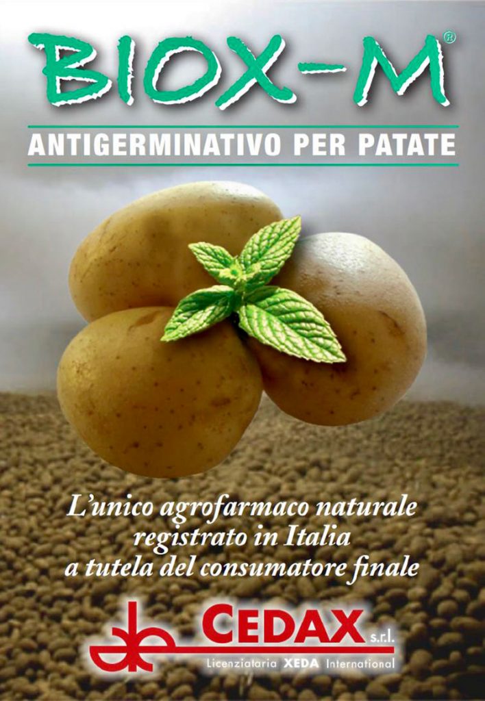 Patate-Cedax-Biox-M