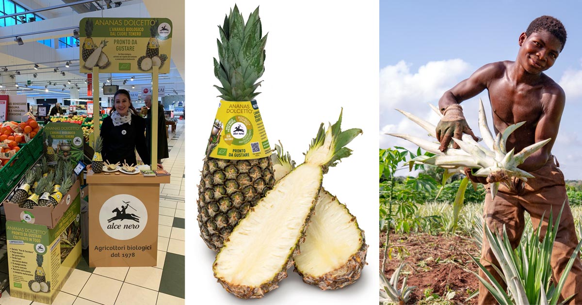Brio ananas Dolcetto