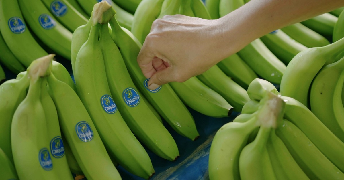 chiquita
