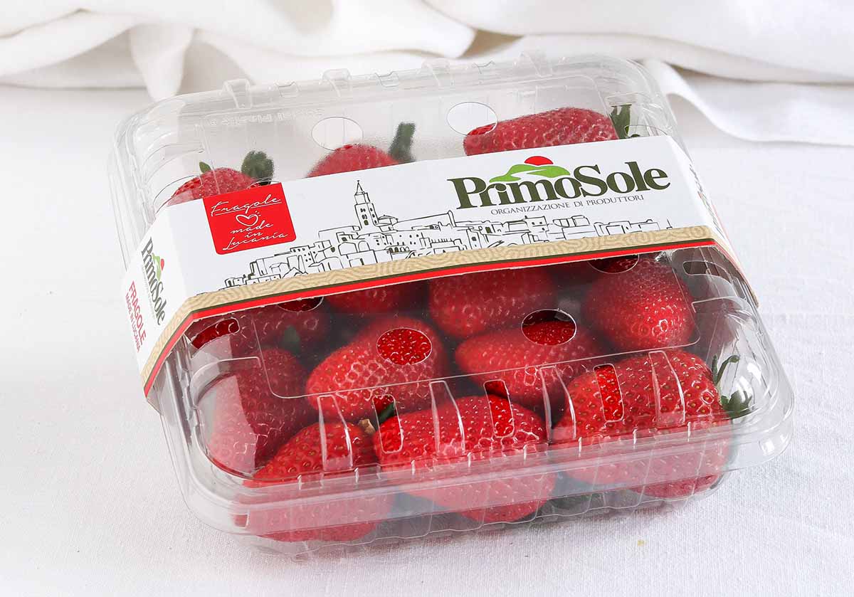 fragole Made in Lucania