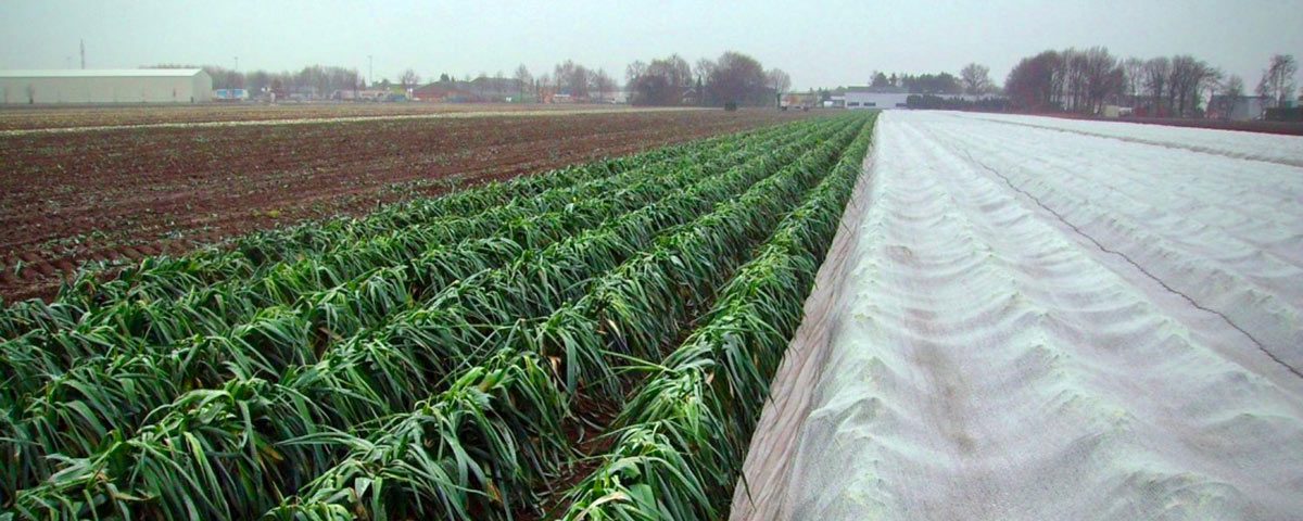 Arrigoni-Arricover-campo-gelo