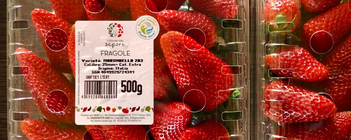 Fragola-Marimbella-Aldi-Italia-Nova-Siri-Genetics-Fm