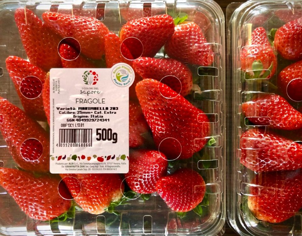 Fragola-Marimbella-Aldi-Italia-Nova-Siri-Genetics-Fm