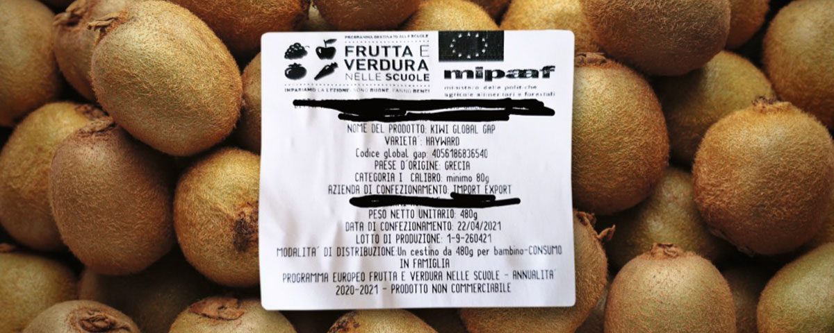Frutta-nelle-Scuole-kiwi-Grecia-copy-Fm