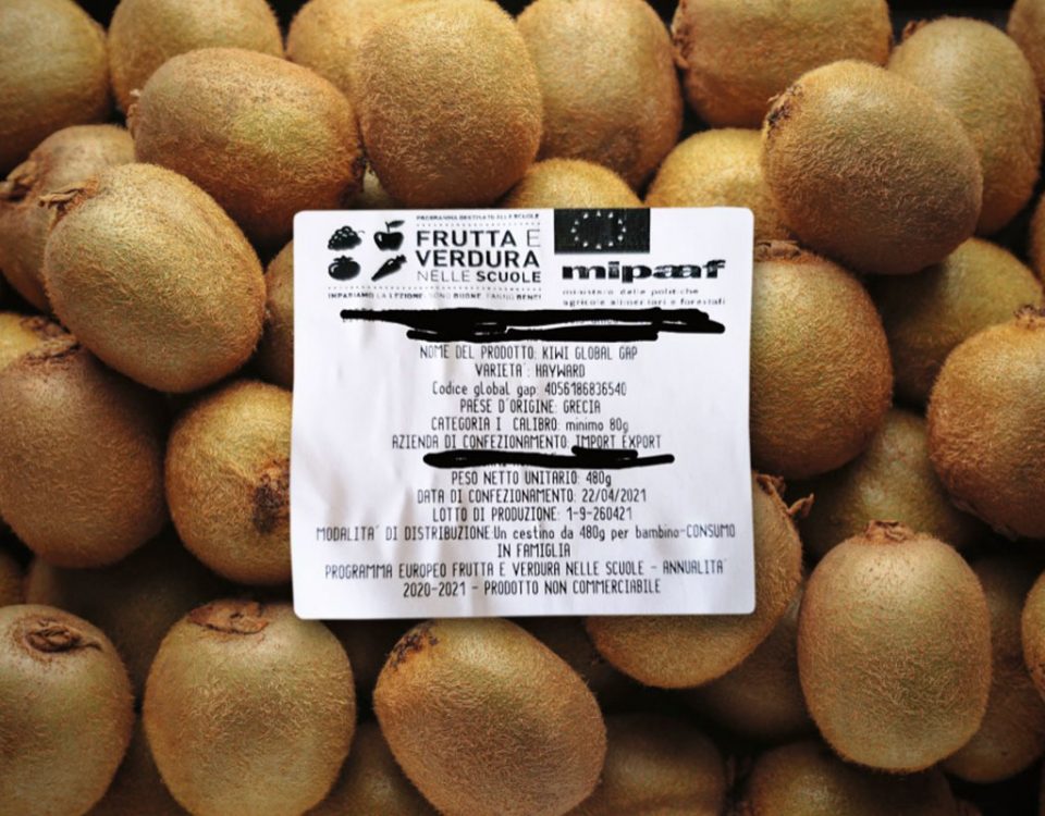 Frutta-nelle-Scuole-kiwi-Grecia-copy-Fm
