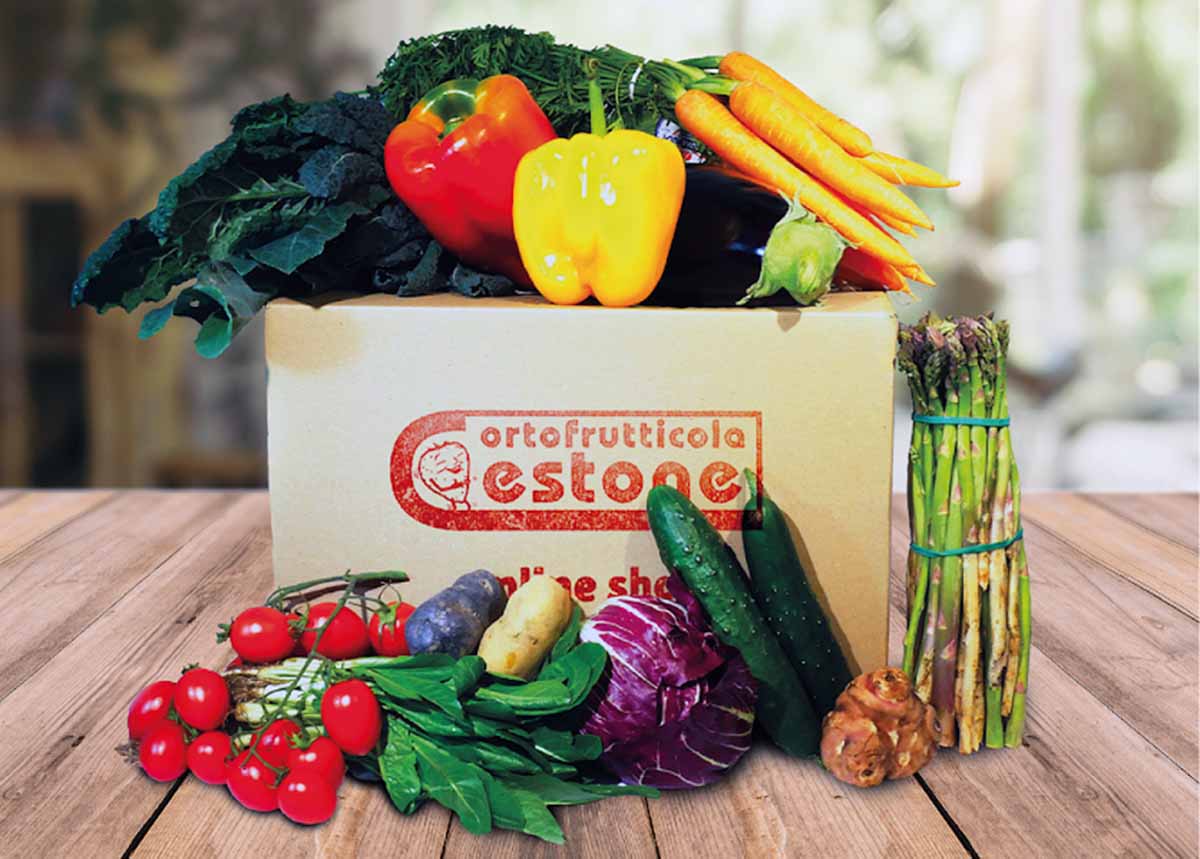 Cestone Shop online