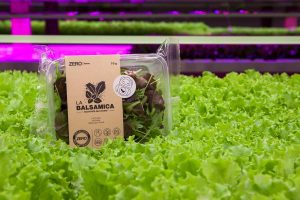 Zero Farms