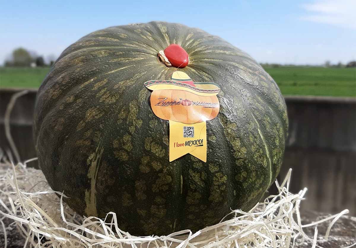 Fornari Zuccherissima I love Mexico