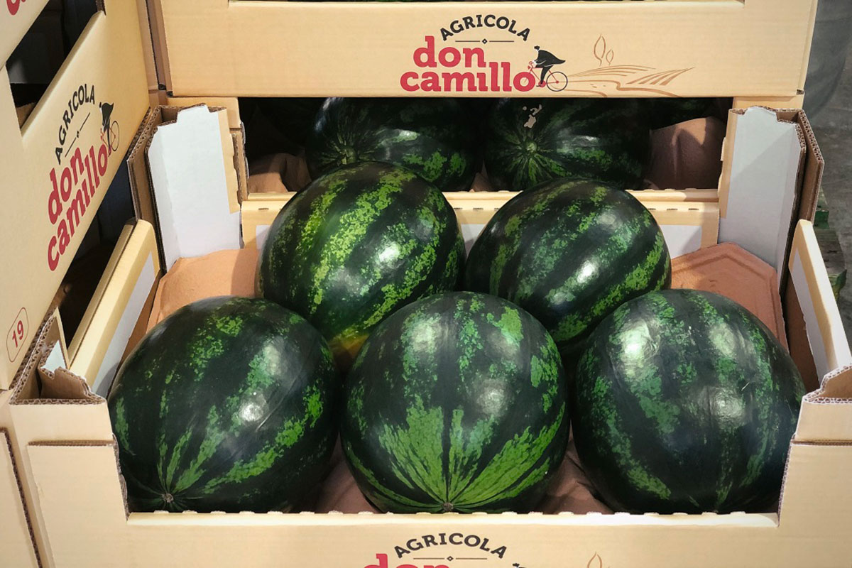 Don-Camillo-mini-anguria-Cometa