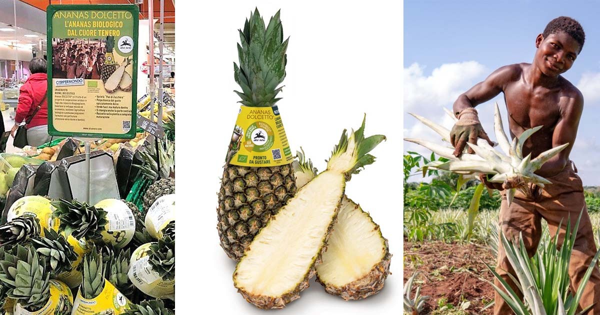 ananas Dolcetto Coop