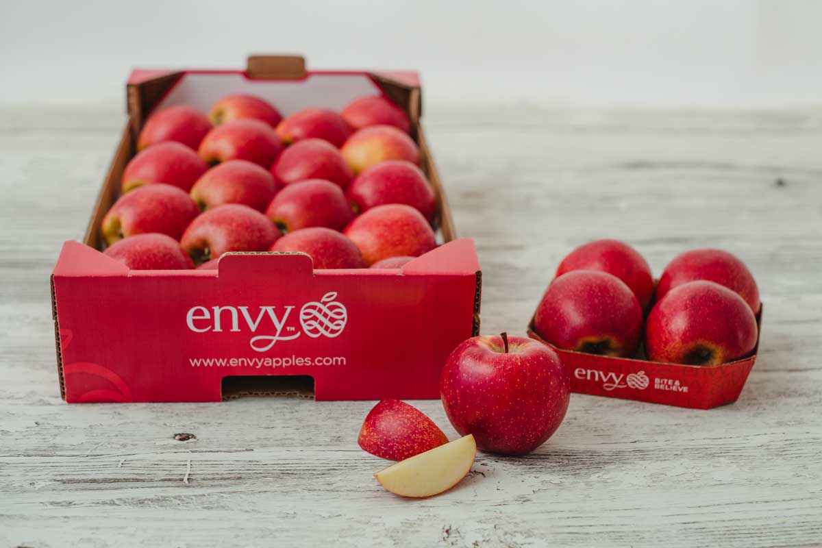 envy