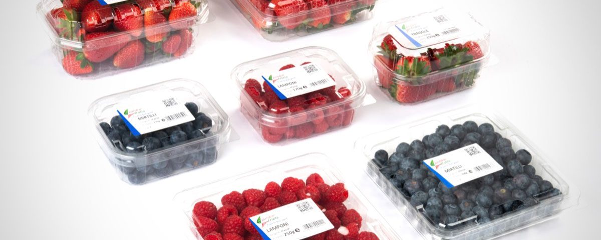 Garden-Frutta-fragole-frutti-di-bosco-social-plastic