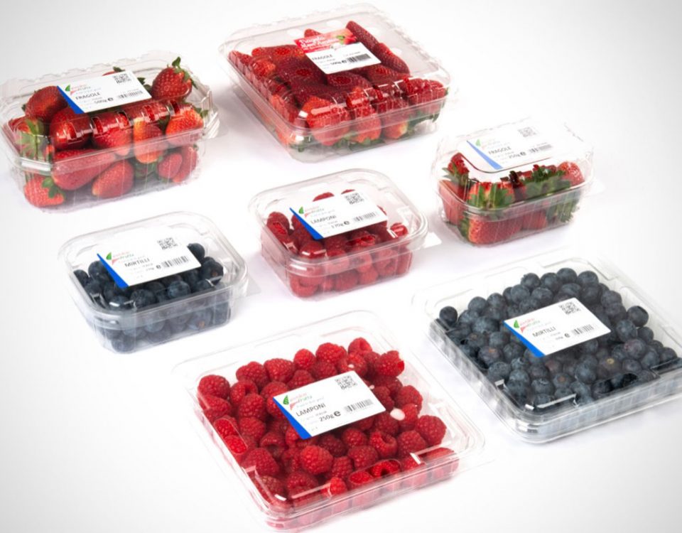 Garden-Frutta-fragole-frutti-di-bosco-social-plastic